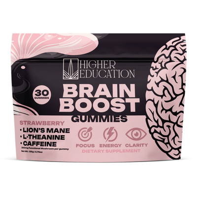 Higher Education Brain Boost