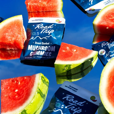 Desert Stardust Mushroom Gummies - Watermelon